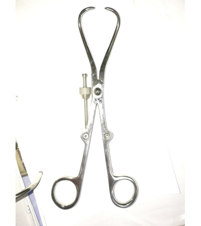 Кісткотримач прямий Довжина 21 см